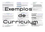 Ejemplos de curriculum