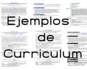 Ejemplos de curriculum
